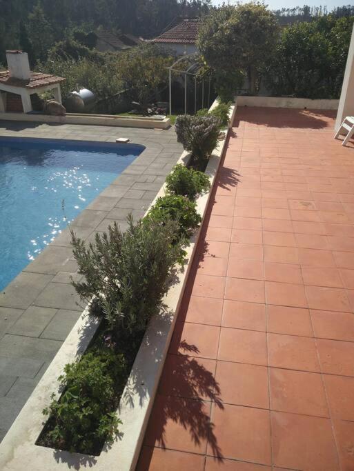 Citrus Tree House, Private Pool And Garden. Villa Angeja Bagian luar foto